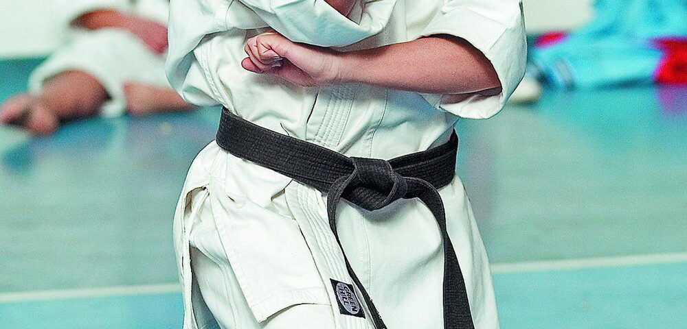 Departamentul de karate SKDUN